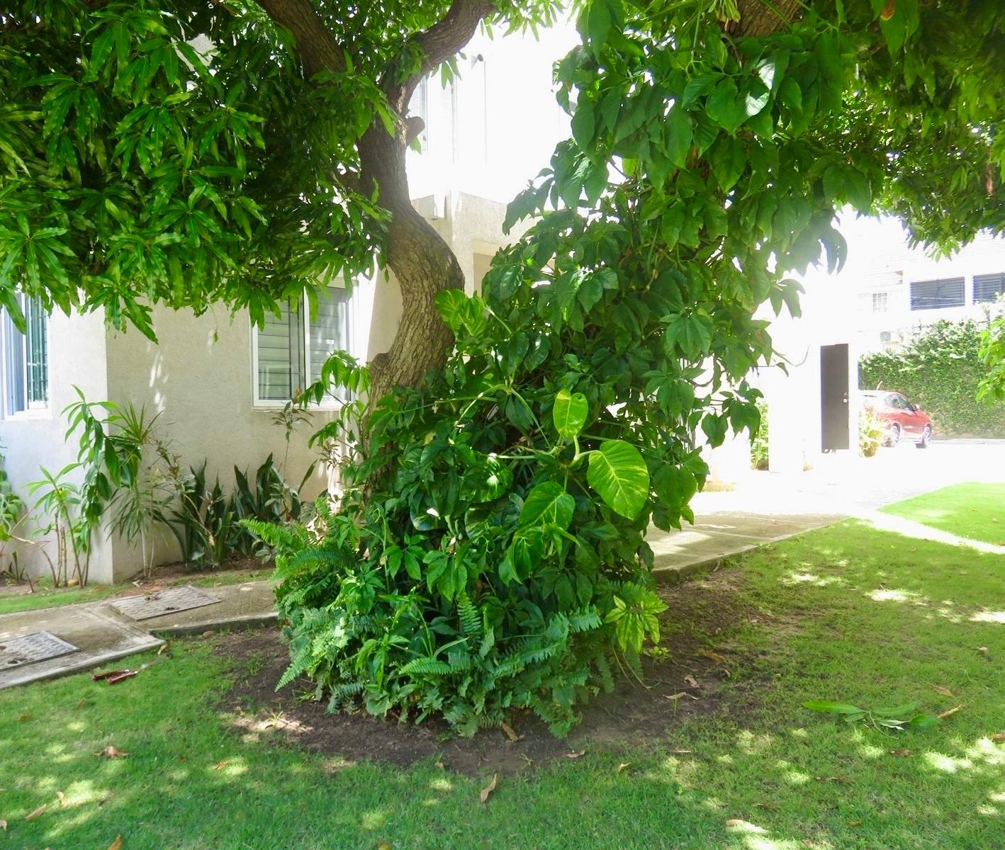 Nineteenth image of F7-67 Shortwood Road, Kingston in Kingston 8, St. Andrew, Jamaica - property is For Rent