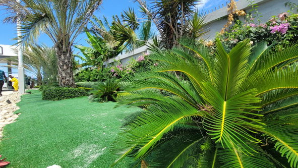 Eighteenth image of H203- Paradisiac Beach Club in Richmond, St. Ann, Jamaica - property is For Sale