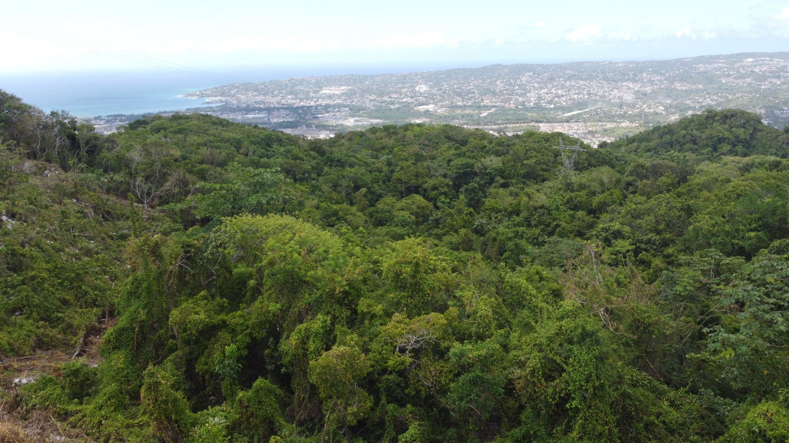 Tenth image of Ramble Hill, Gordon's Cro in Montego Bay, St. James, Jamaica - property is For Sale