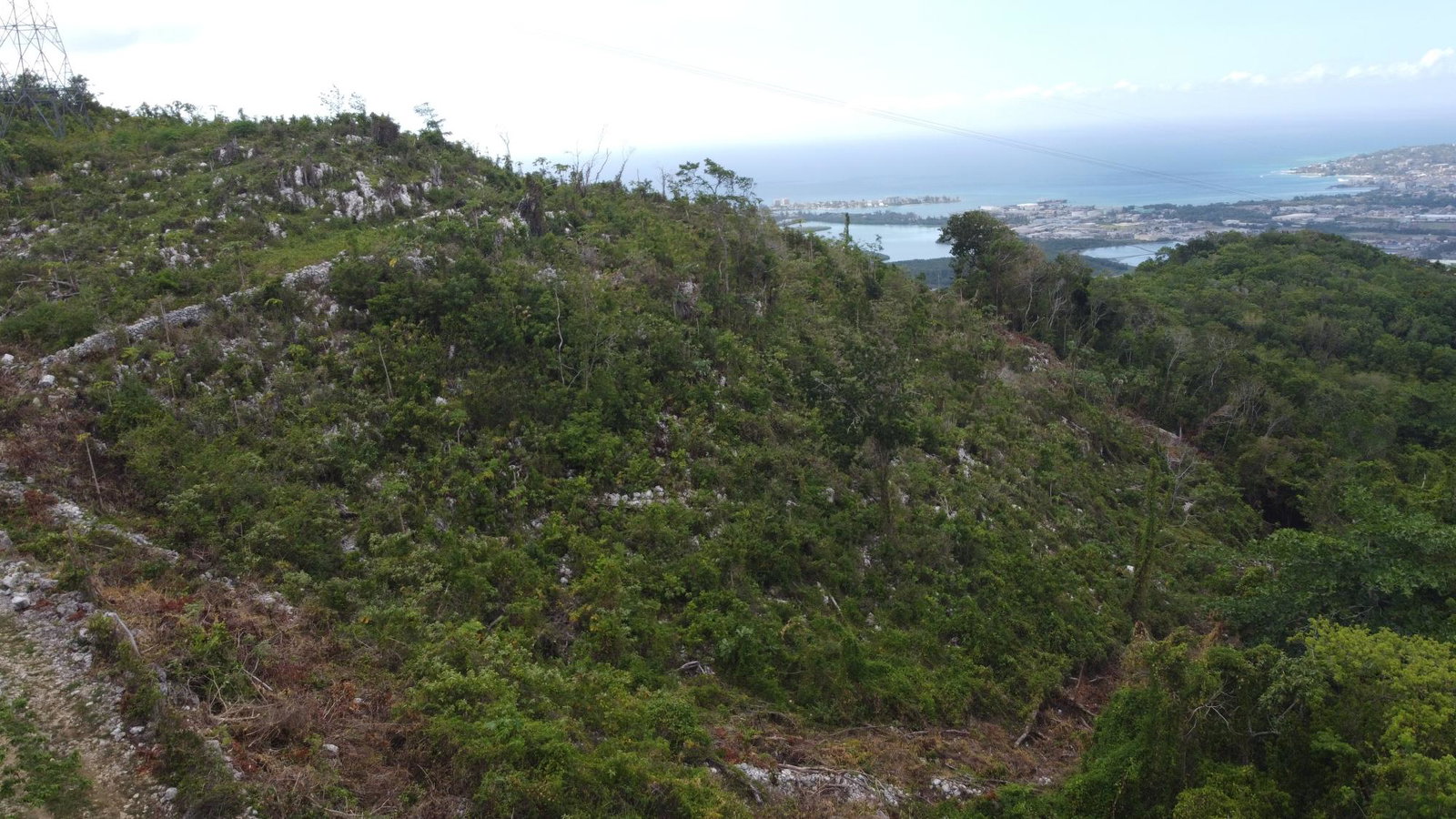 Eleventh image of Ramble Hill, Gordon's Cro in Montego Bay, St. James, Jamaica - property is For Sale