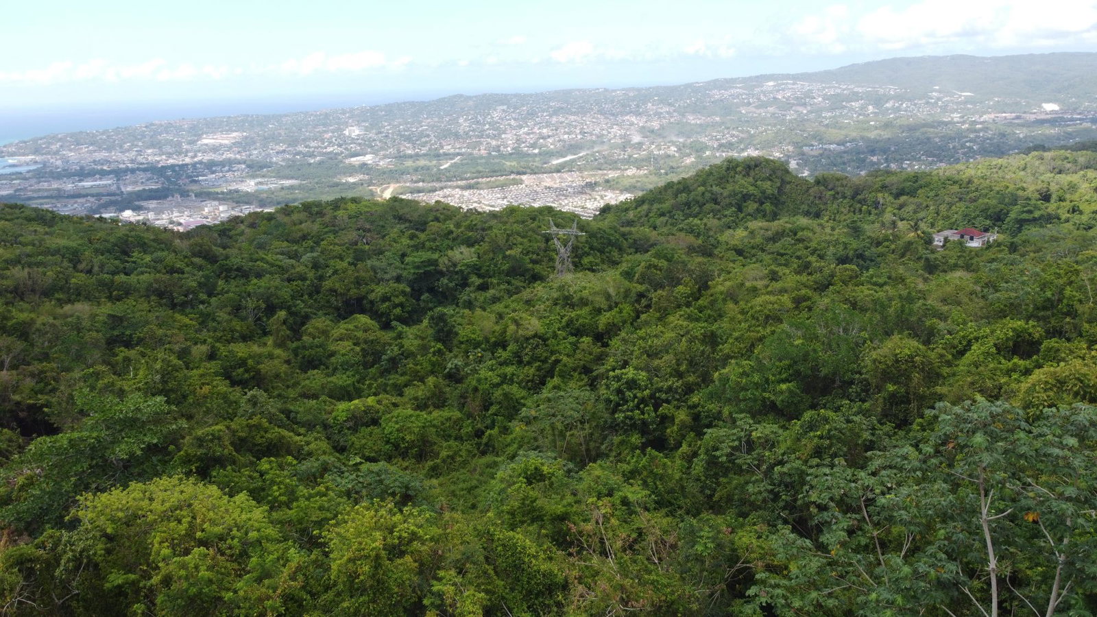 Fifteenth image of Ramble Hill, Gordon's Cro in Montego Bay, St. James, Jamaica - property is For Sale