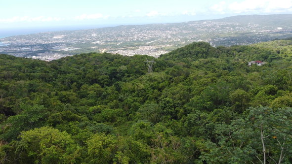 Fifteenth image of Ramble Hill, Gordon's Cro in Montego Bay, St. James, Jamaica - property is For Sale