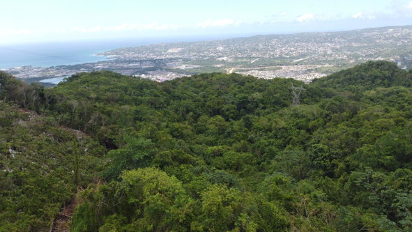 Sixteenth image of Ramble Hill, Gordon's Cro in Montego Bay, St. James, Jamaica - property is For Sale