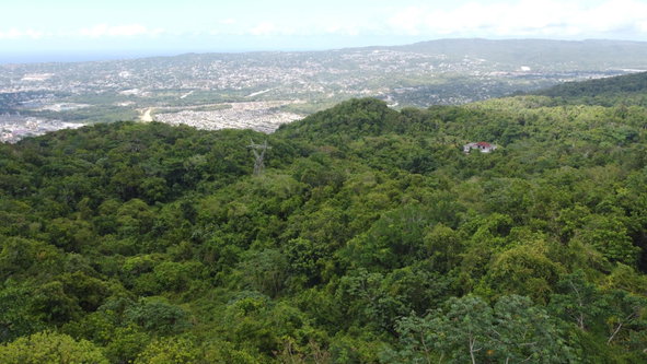 Seventeenth image of Ramble Hill, Gordon's Cro in Montego Bay, St. James, Jamaica - property is For Sale