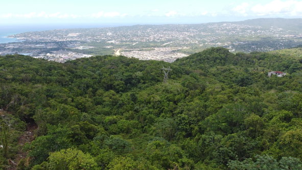 Eighteenth image of Ramble Hill, Gordon's Cro in Montego Bay, St. James, Jamaica - property is For Sale