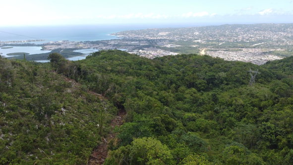Nineteenth image of Ramble Hill, Gordon's Cro in Montego Bay, St. James, Jamaica - property is For Sale