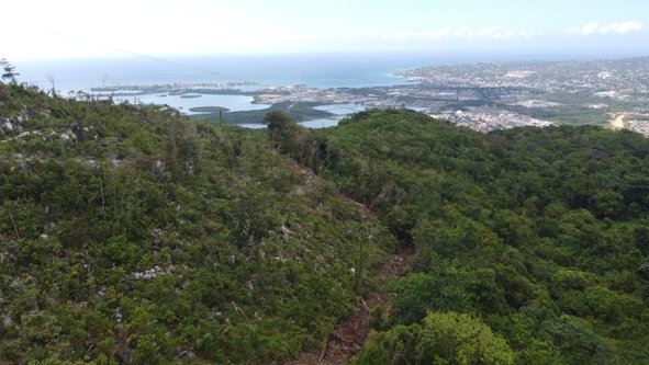 Twentieth image of Ramble Hill, Gordon's Cro in Montego Bay, St. James, Jamaica - property is For Sale