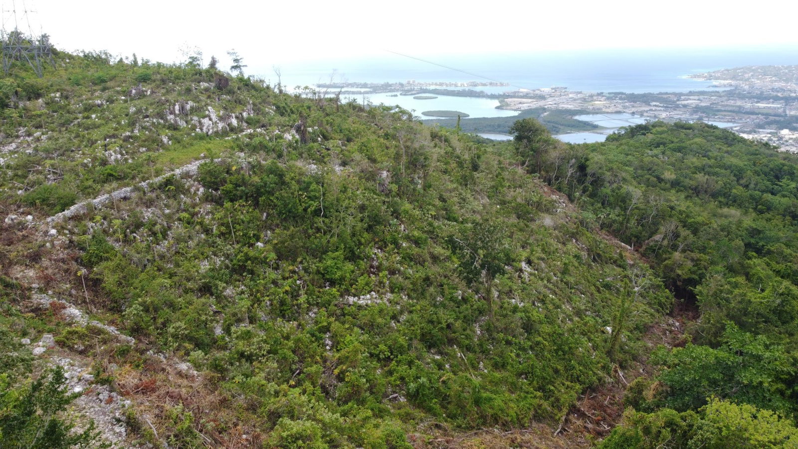 Twenty-First image of Ramble Hill, Gordon's Cro in Montego Bay, St. James, Jamaica - property is For Sale