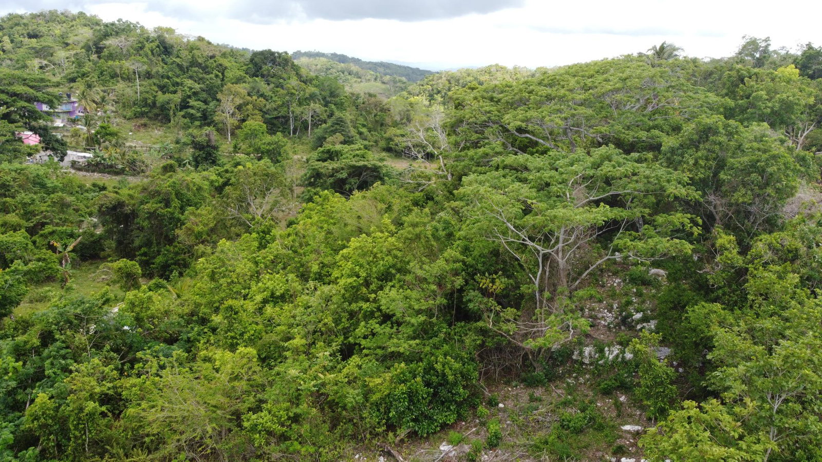 Twenty-Fifth image of Ramble Hill, Gordon's Cro in Montego Bay, St. James, Jamaica - property is For Sale