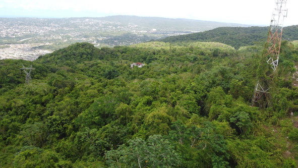 Twenty-Eighth image of Ramble Hill, Gordon's Cro in Montego Bay, St. James, Jamaica - property is For Sale