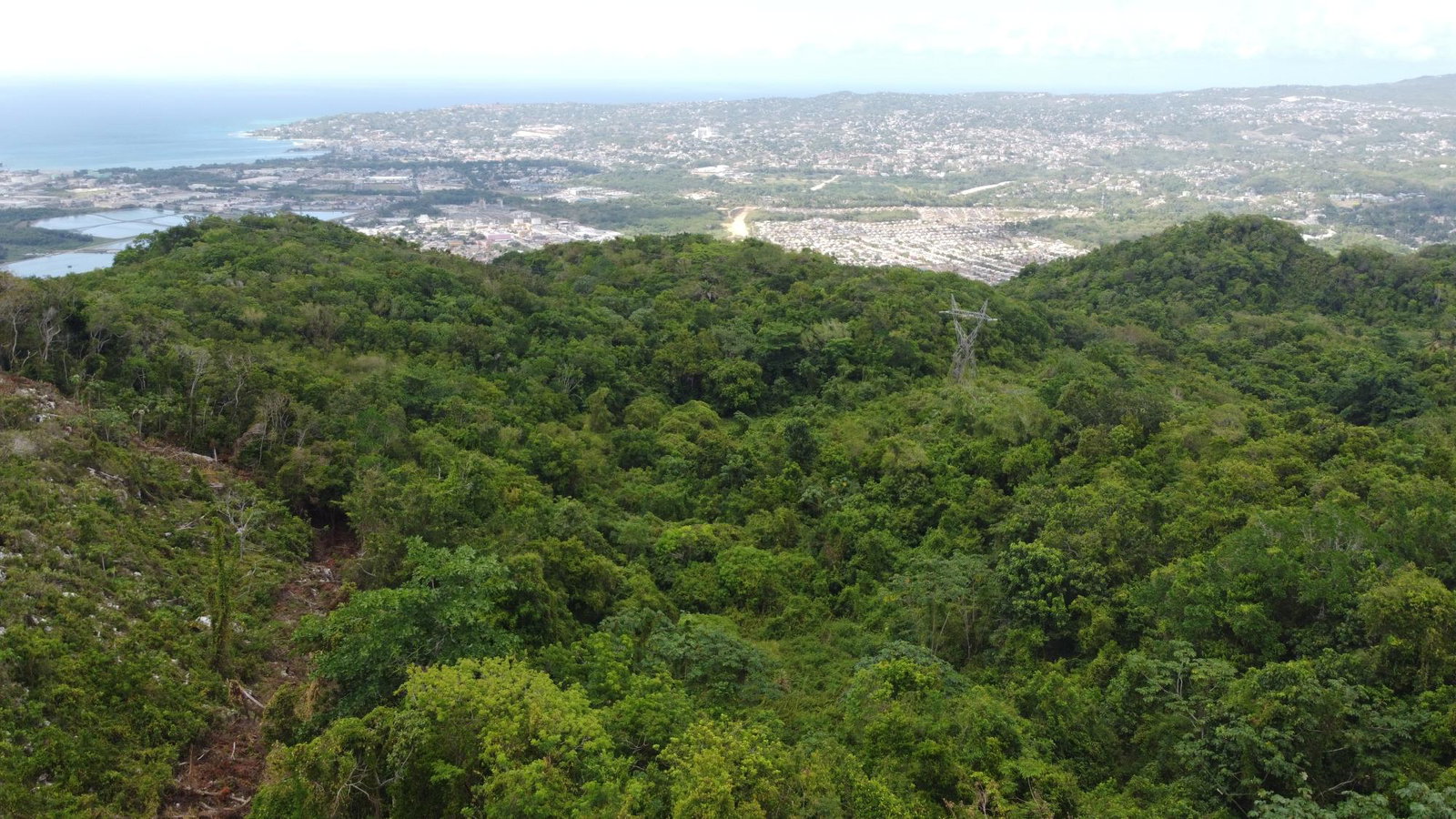Twenty-Ninth image of Ramble Hill, Gordon's Cro in Montego Bay, St. James, Jamaica - property is For Sale