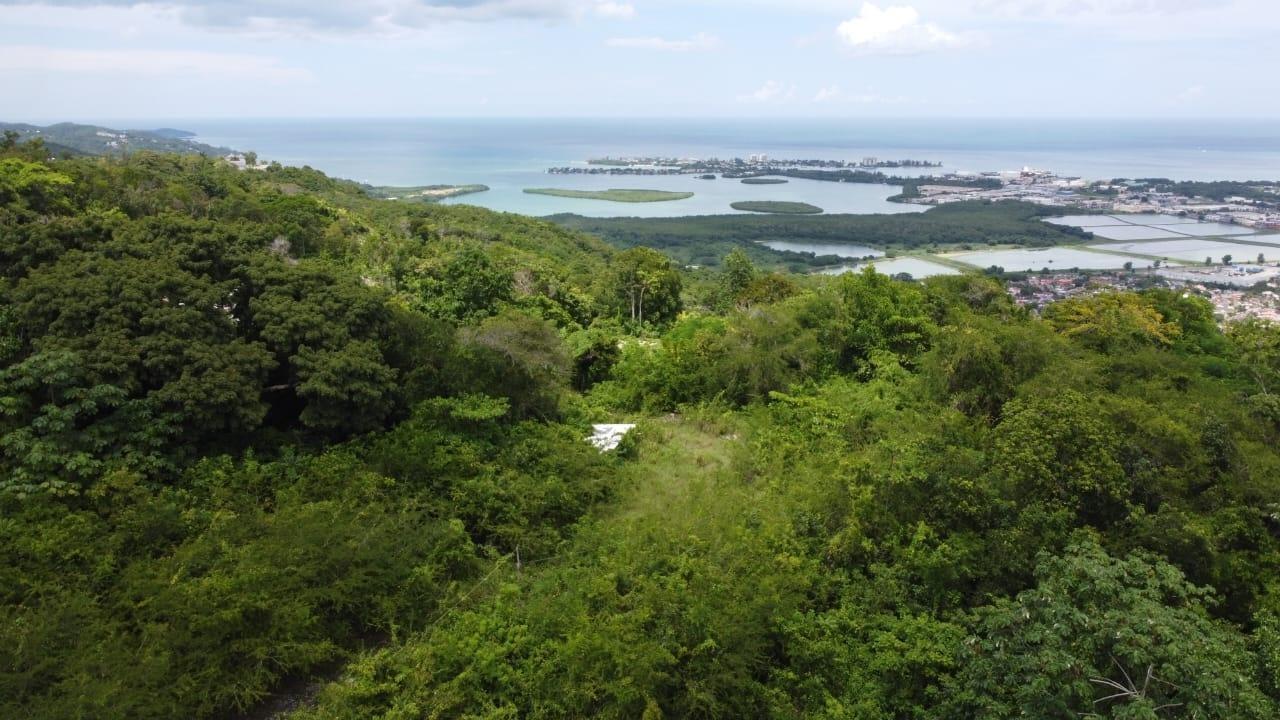 Third image of Ramble Hill, Gordon's Cro in Montego Bay, St. James, Jamaica - property is For Sale
