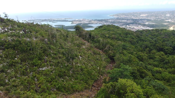 Thirtieth image of Ramble Hill, Gordon's Cro in Montego Bay, St. James, Jamaica - property is For Sale
