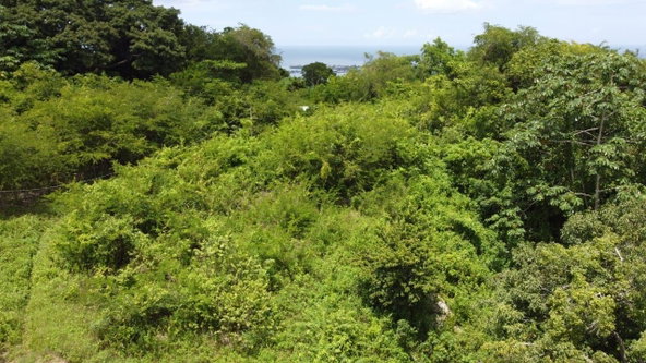 Fourth image of Ramble Hill, Gordon's Cro in Montego Bay, St. James, Jamaica - property is For Sale