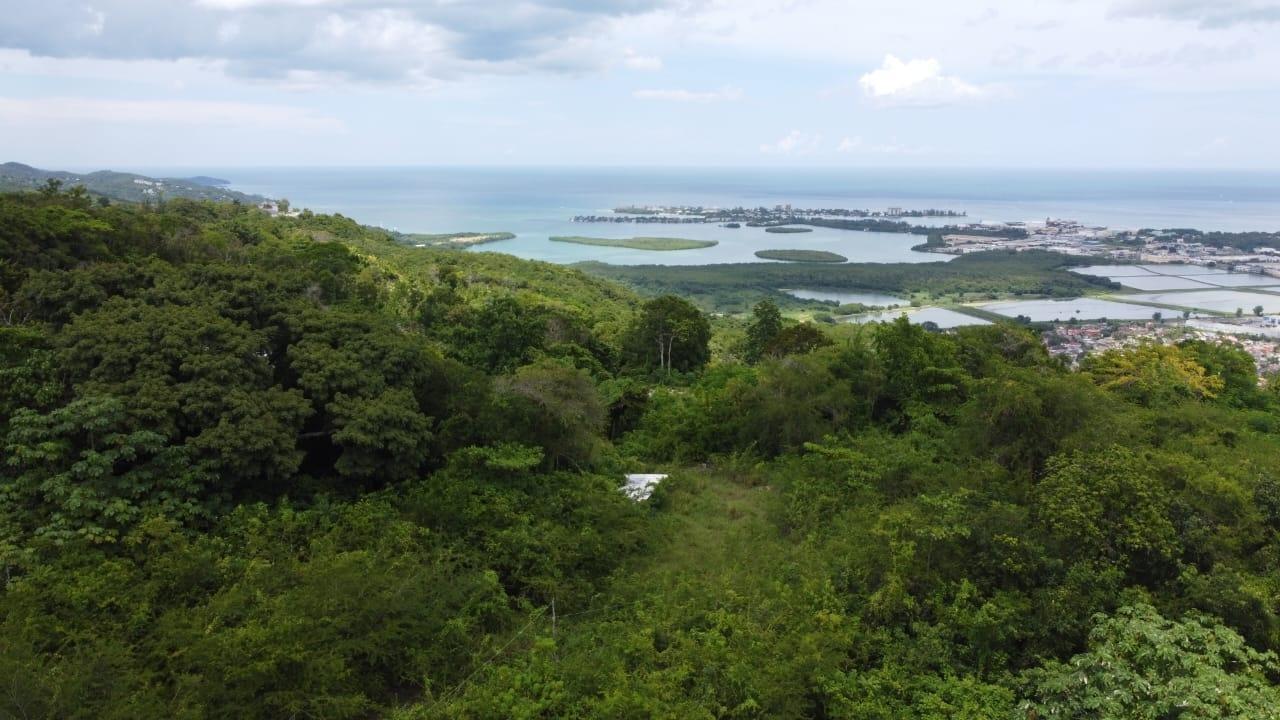 Seventh image of Ramble Hill, Gordon's Cro in Montego Bay, St. James, Jamaica - property is For Sale