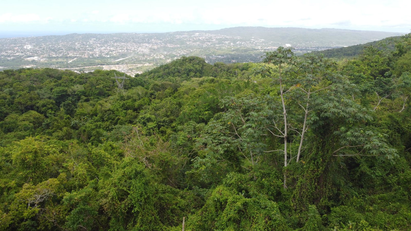 Eighth image of Ramble Hill, Gordon's Cro in Montego Bay, St. James, Jamaica - property is For Sale