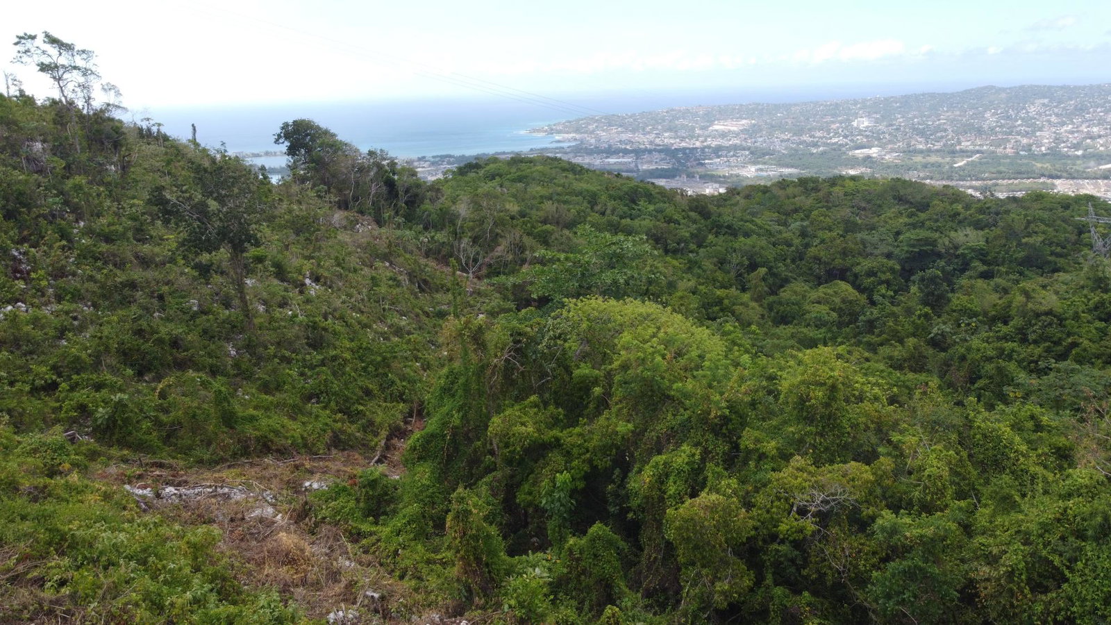 Ninth image of Ramble Hill, Gordon's Cro in Montego Bay, St. James, Jamaica - property is For Sale