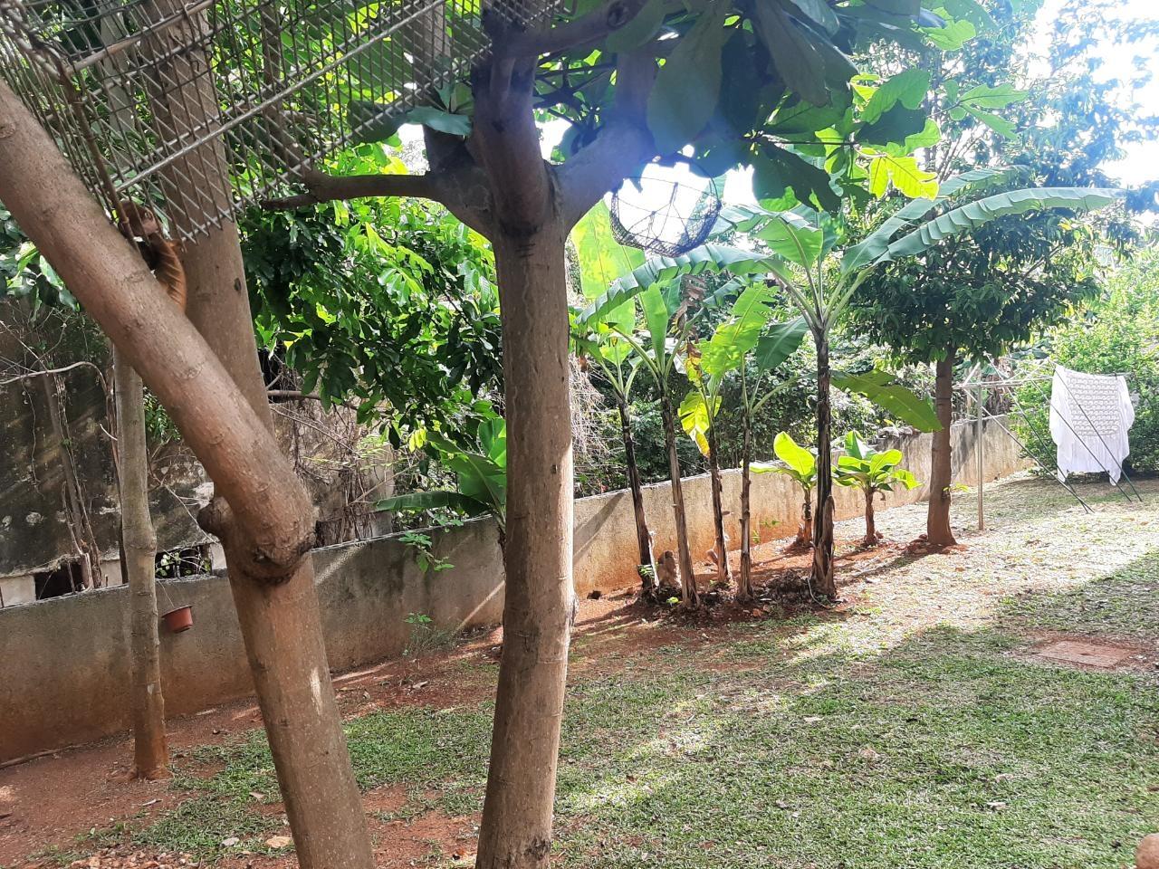 Sixteenth image of 2 Horatio Drive in Kingston 19, St. Andrew, Jamaica - property is For Sale