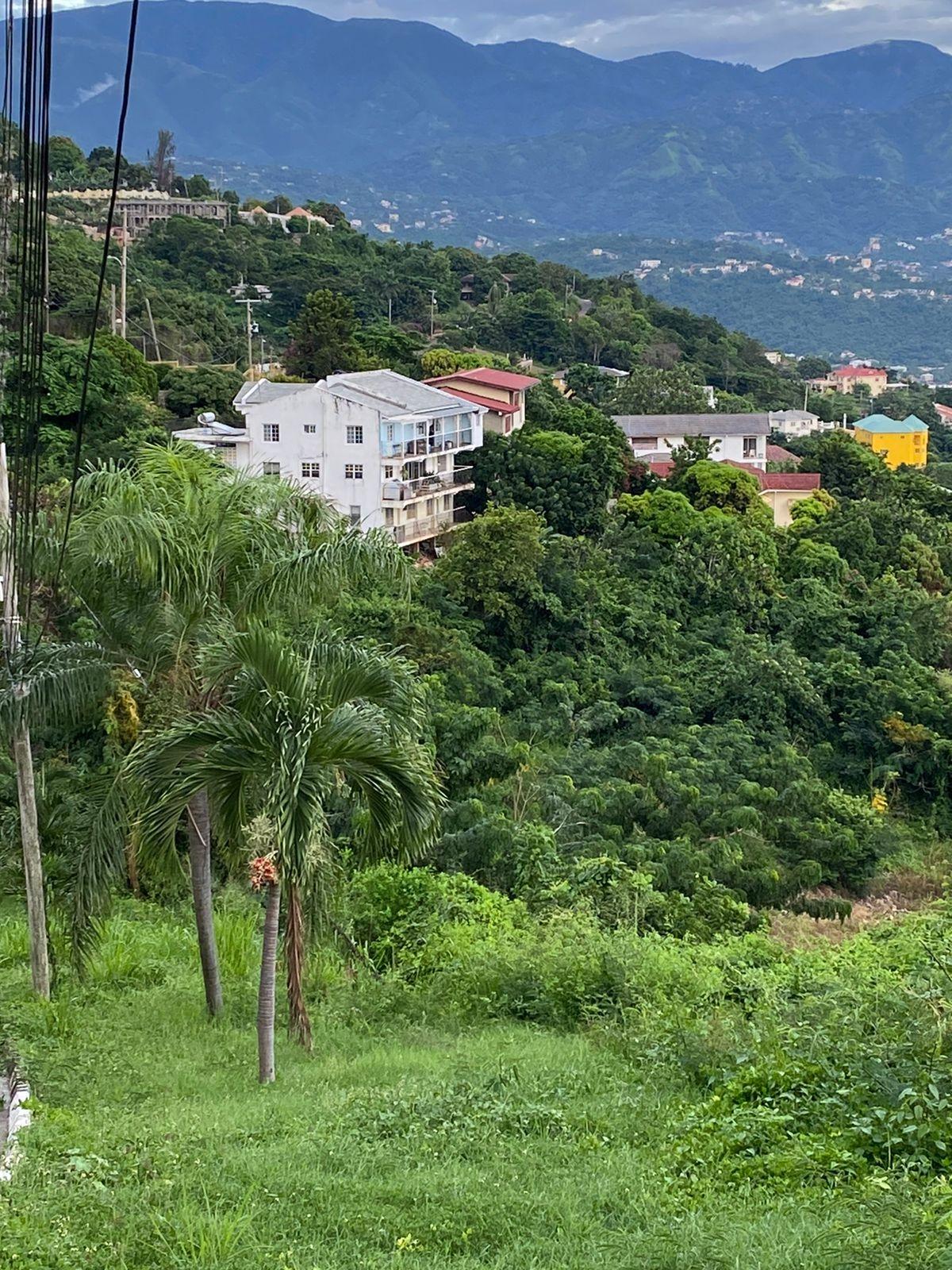 Fifth image of 28 Kirkland Crescent, West k in Kingston 19, St. Andrew, Jamaica - property is For Sale