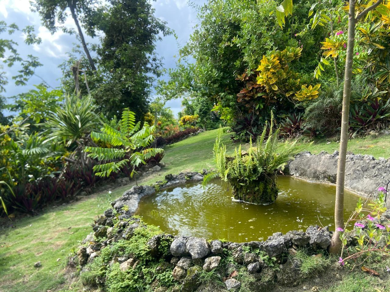 Fifth image of Wharf Road in Santoy, Hanover, Jamaica - property is For Rent