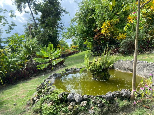 Fifth image of Wharf Road in Santoy, Hanover, Jamaica - property is For Rent