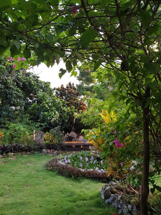 Sixth image of Wharf Road in Santoy, Hanover, Jamaica - property is For Rent