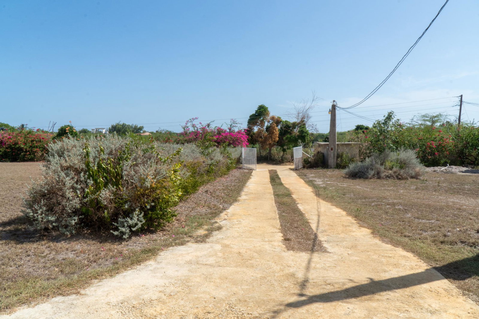 Twenty-Ninth image of Billys Bay|treasure Beach in Treasure Beach, St. Elizabeth, Jamaica - property is For Sale