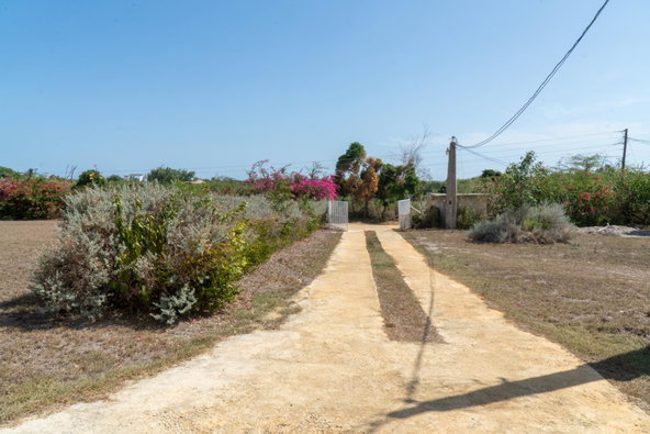 Twenty-Ninth image of Billys Bay|treasure Beach in Treasure Beach, St. Elizabeth, Jamaica - property is For Sale