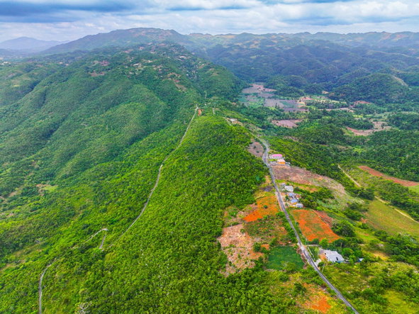 Second image of Whitney Estate in Whitney Turn, Clarendon, Jamaica - property is For Sale