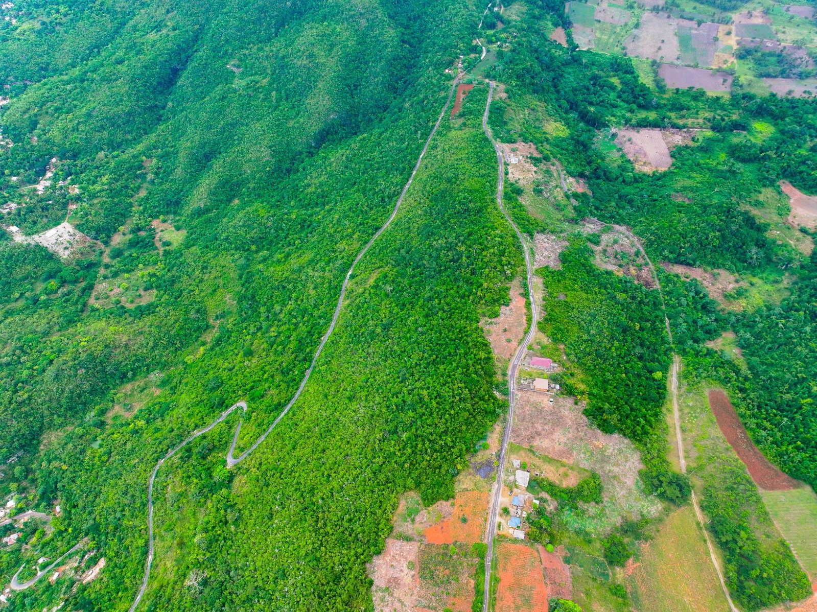 Third image of Whitney Estate in Whitney Turn, Clarendon, Jamaica - property is For Sale