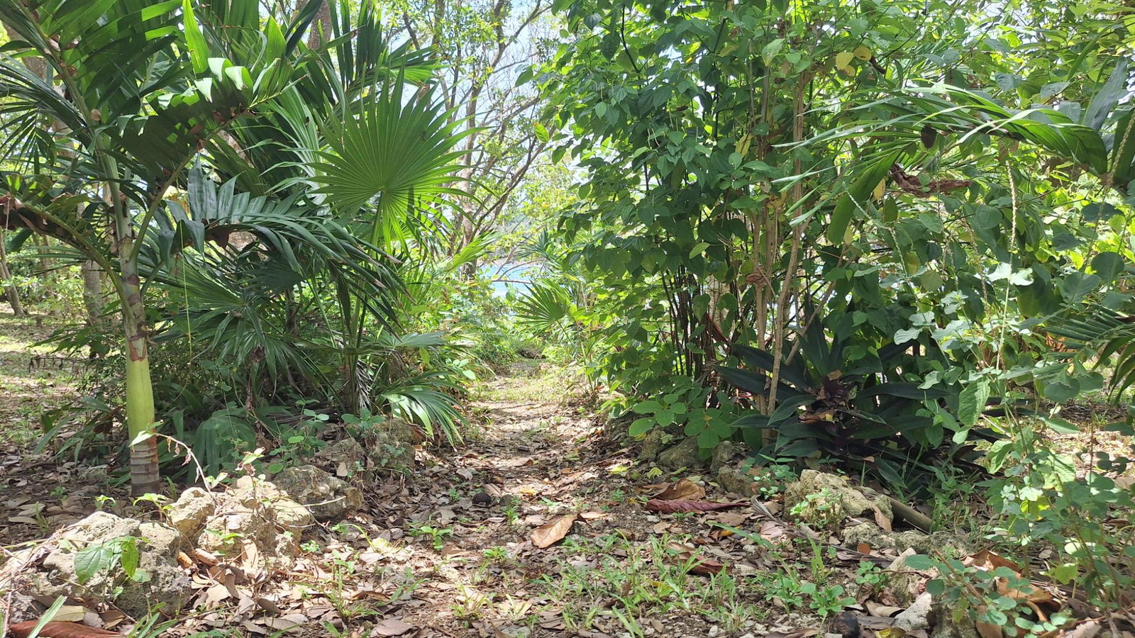 Seventh image of 7 Don Christopher's Point in Robins Bay, St. Mary, Jamaica - property is For Sale
