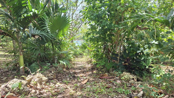 Seventh image of 7 Don Christopher's Point in Robins Bay, St. Mary, Jamaica - property is For Sale