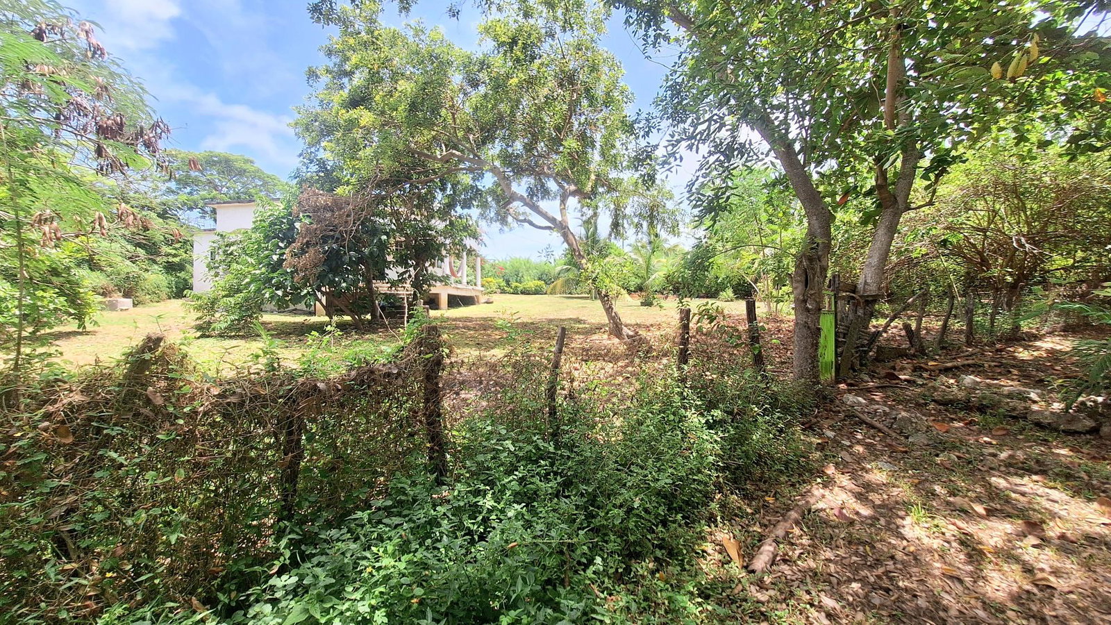 Eighth image of 7 Don Christopher's Point in Robins Bay, St. Mary, Jamaica - property is For Sale