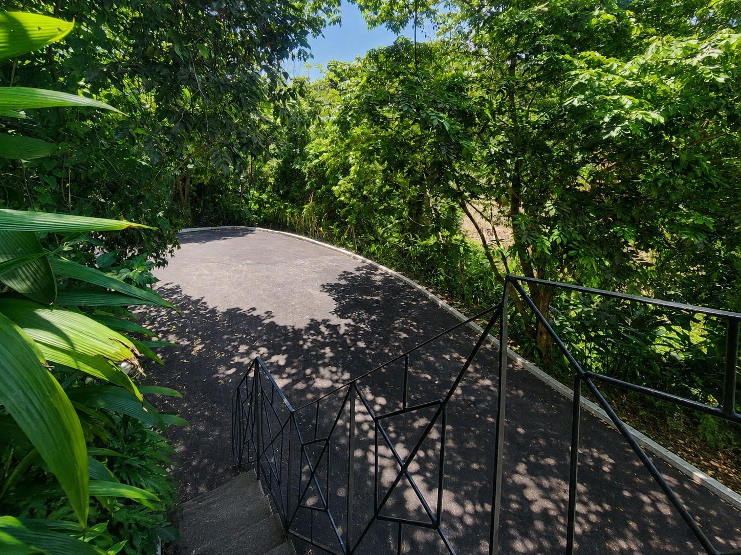 Twenty-Fifth image of 13 Titchfield Trust Lands, p in Port Antonio, Portland, Jamaica - property is For Sale