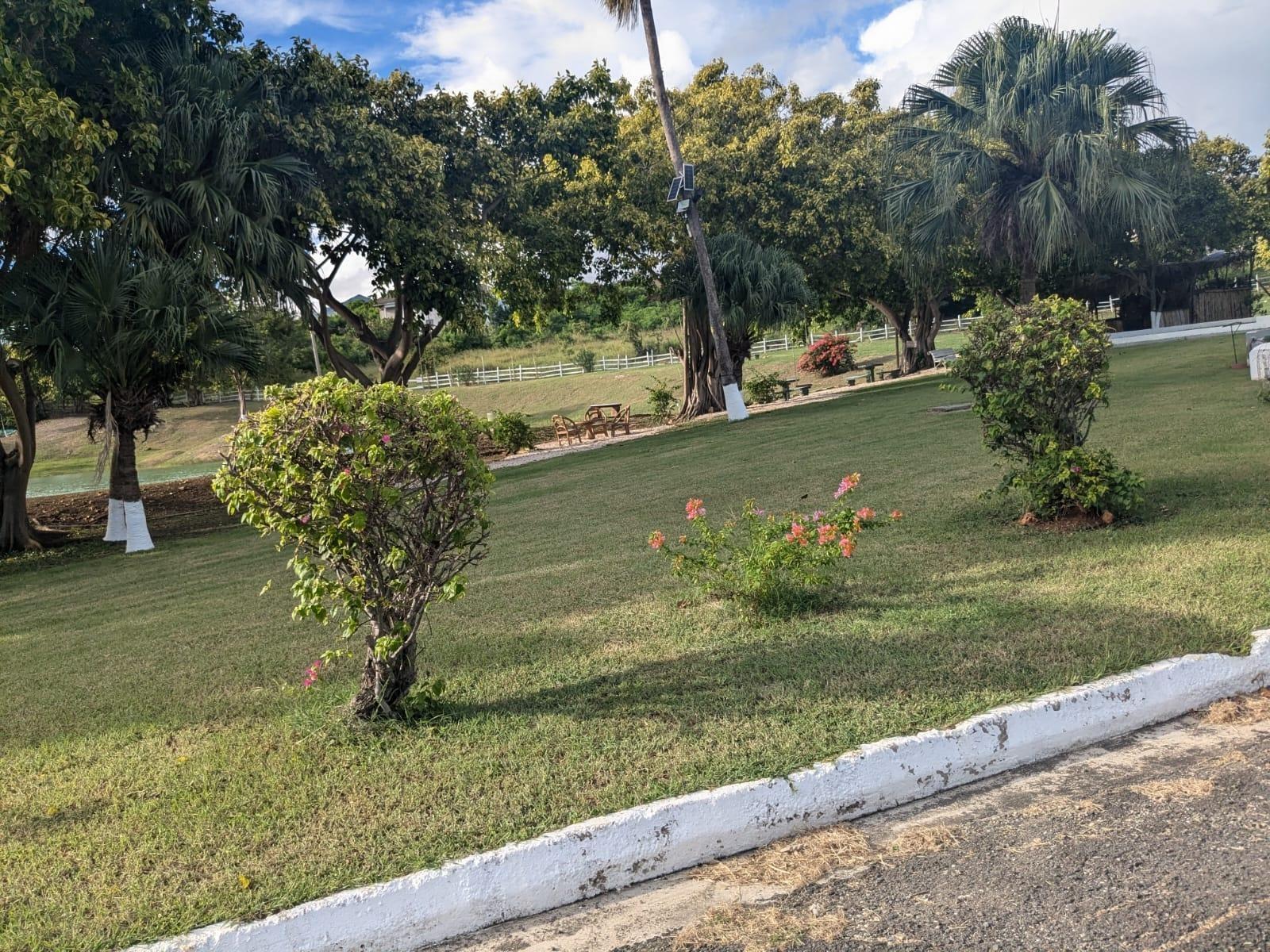 Sixth image of 430 Forrest Drive in Twin Palms Estate, Clarendon, Jamaica - property is For Sale