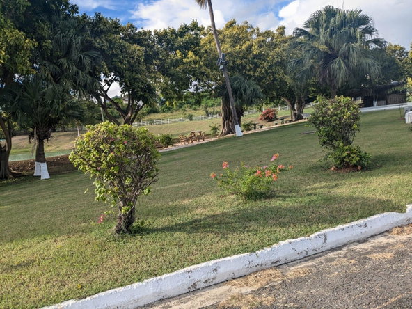 Sixth image of 430 Forrest Drive in Twin Palms Estate, Clarendon, Jamaica - property is For Sale