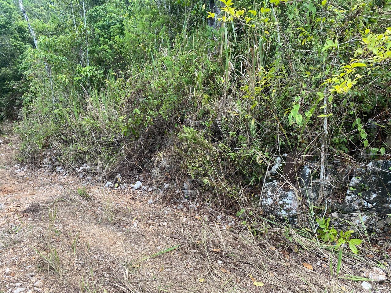 Tenth image of Mount Zion,rock Hall,st. in Red Hills, St. Andrew, Jamaica - property is For Sale