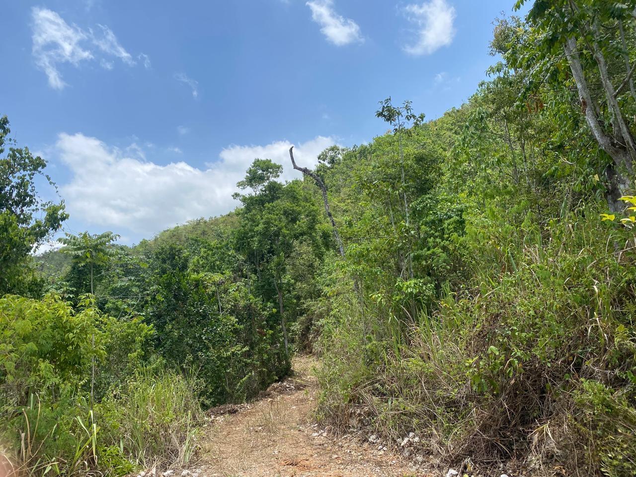 Eleventh image of Mount Zion,rock Hall,st. in Red Hills, St. Andrew, Jamaica - property is For Sale
