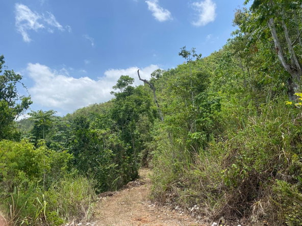 Eleventh image of Mount Zion,rock Hall,st. in Red Hills, St. Andrew, Jamaica - property is For Sale