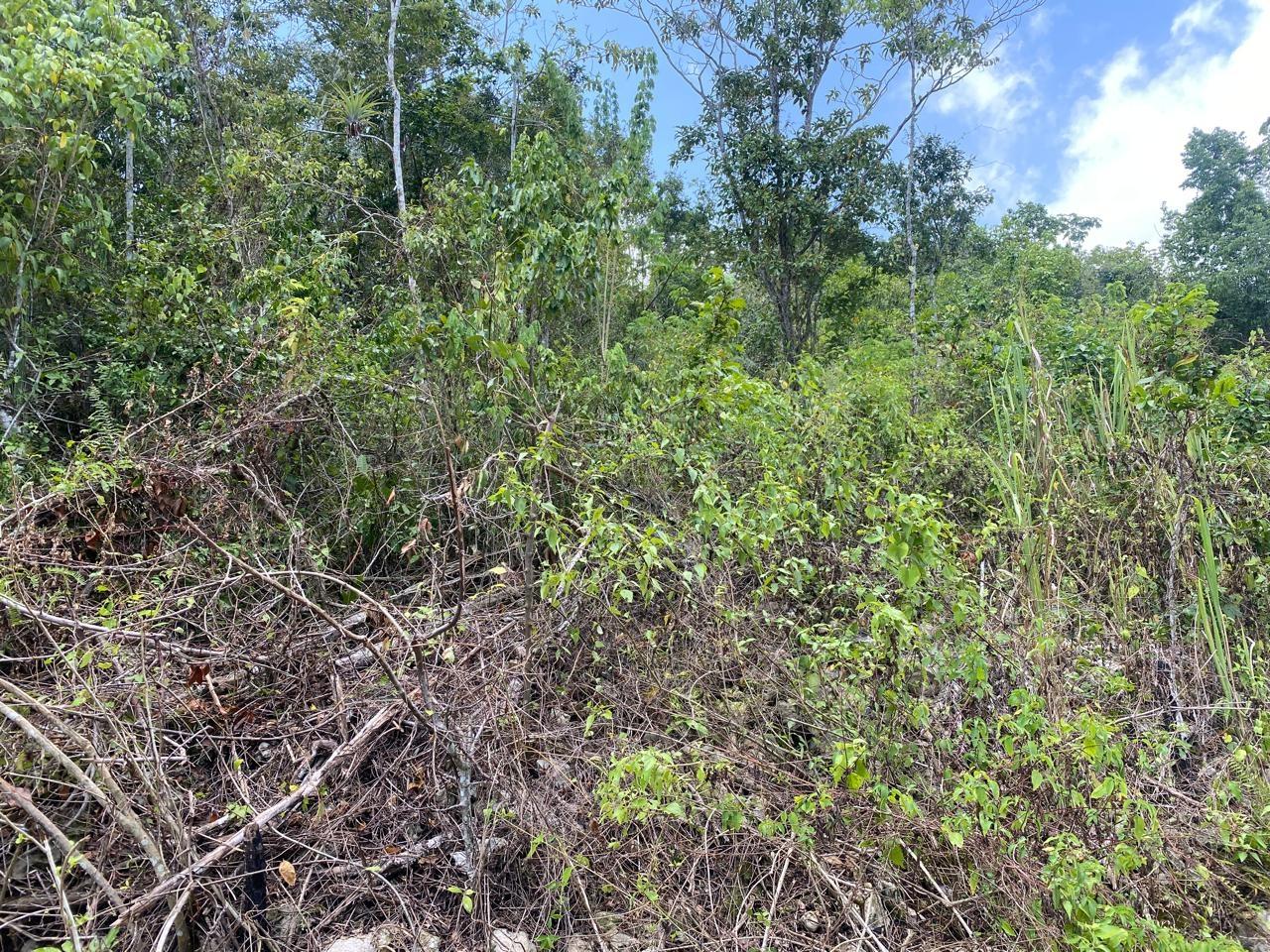 Thirteenth image of Mount Zion,rock Hall,st. in Red Hills, St. Andrew, Jamaica - property is For Sale
