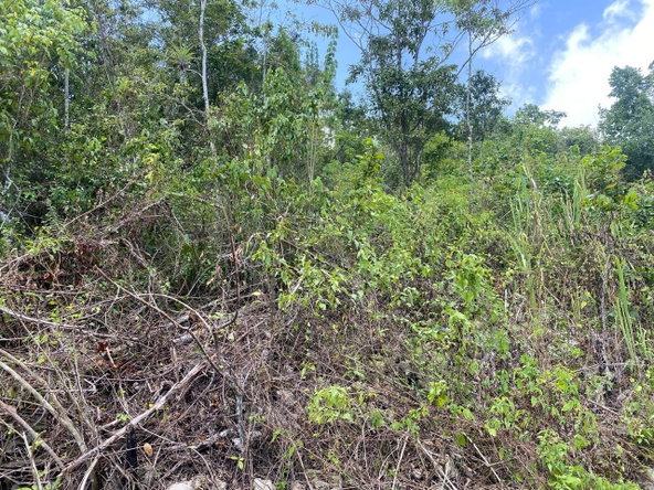 Thirteenth image of Mount Zion,rock Hall,st. in Red Hills, St. Andrew, Jamaica - property is For Sale