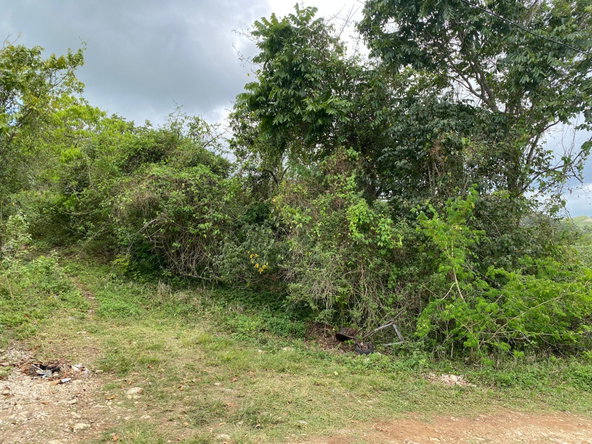 Fifth image of Mount Zion,rock Hall,st. in Red Hills, St. Andrew, Jamaica - property is For Sale
