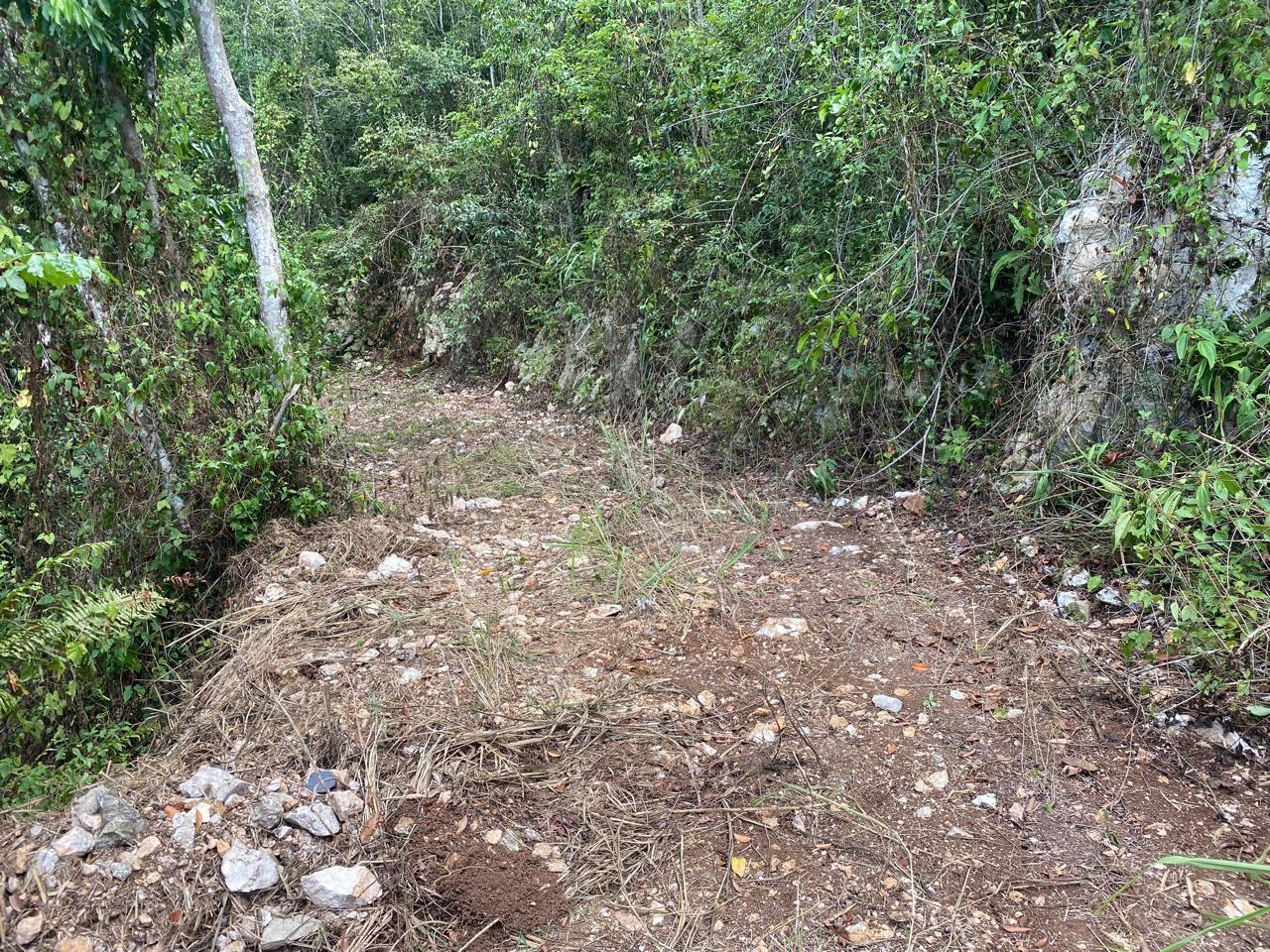 Ninth image of Mount Zion,rock Hall,st. in Red Hills, St. Andrew, Jamaica - property is For Sale