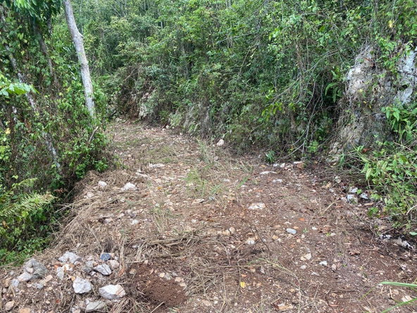 Ninth image of Mount Zion,rock Hall,st. in Red Hills, St. Andrew, Jamaica - property is For Sale