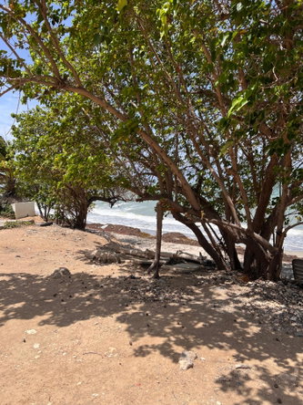 Fifteenth image of 508- Bayfront Villas And Apart in Bridgeport, St. Catherine, Jamaica - property is For Sale