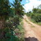 First image of Heathfield, Knockpatrick, in Heathfield, Manchester, Jamaica - property is For Sale