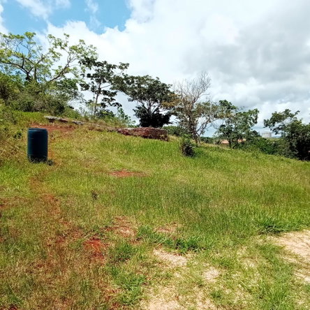 Fourth image of Heathfield, Knockpatrick, in Heathfield, Manchester, Jamaica - property is For Sale