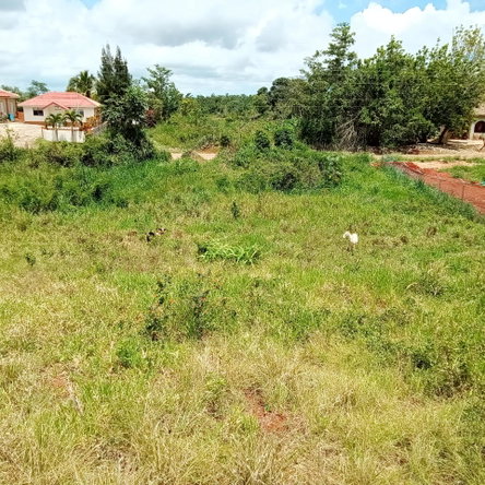 Sixth image of Heathfield, Knockpatrick, in Heathfield, Manchester, Jamaica - property is For Sale
