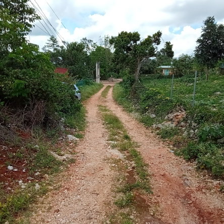 Seventh image of Heathfield, Knockpatrick, in Heathfield, Manchester, Jamaica - property is For Sale