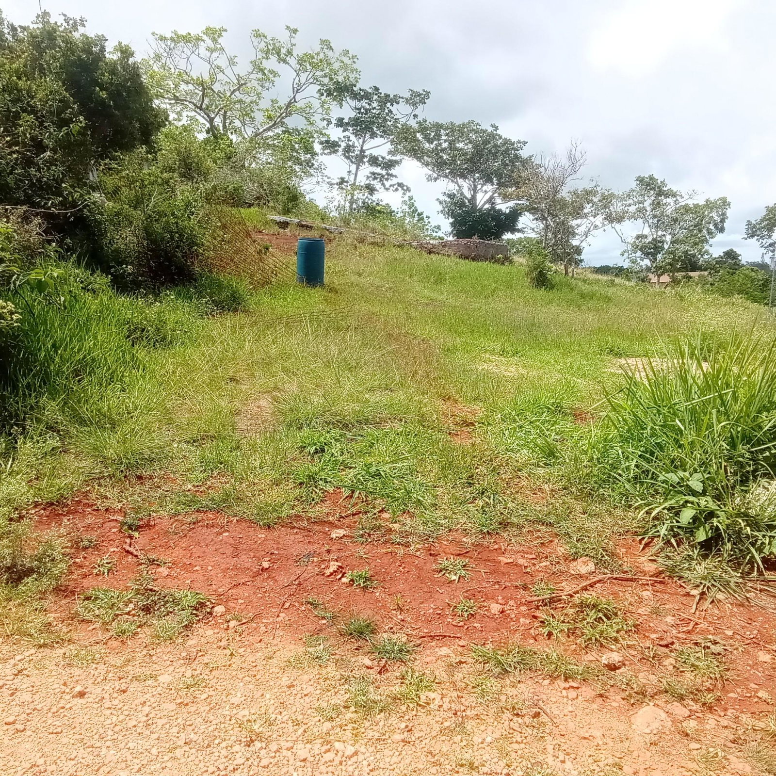 Eighth image of Heathfield, Knockpatrick, in Heathfield, Manchester, Jamaica - property is For Sale